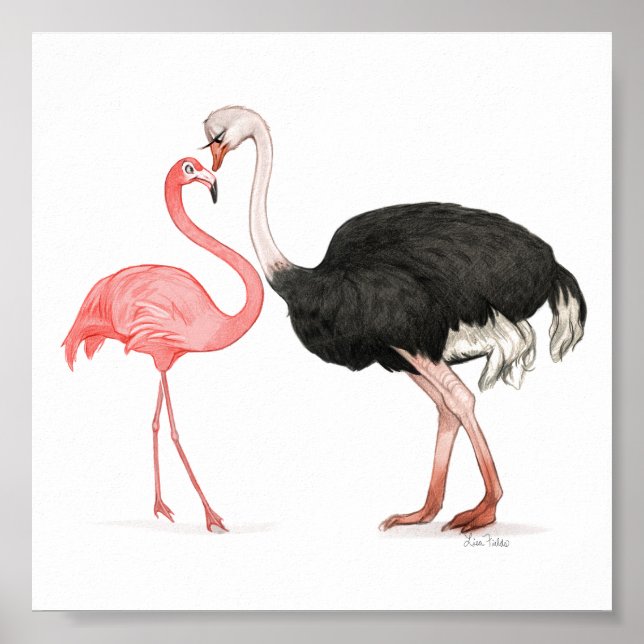 Affiche 6x6 Inséparables (Devant)