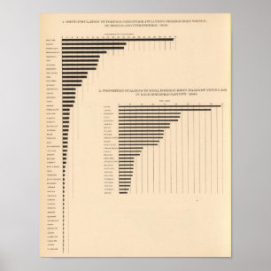 Affiche 74 Patrie étrangère de la population blanche par É