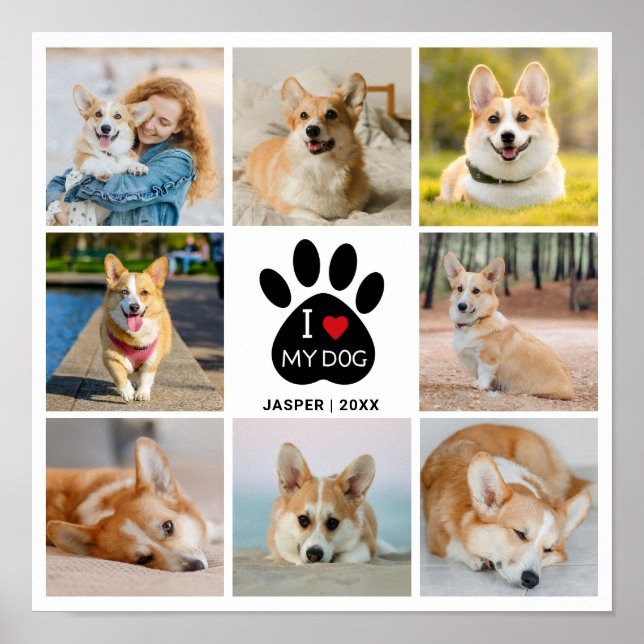 Affiche 8 Collage Photo Cœur J'Aime Mon Chien  (Devant)