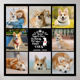 Affiche 8 Collage Photo Souvenir de perte de chien
