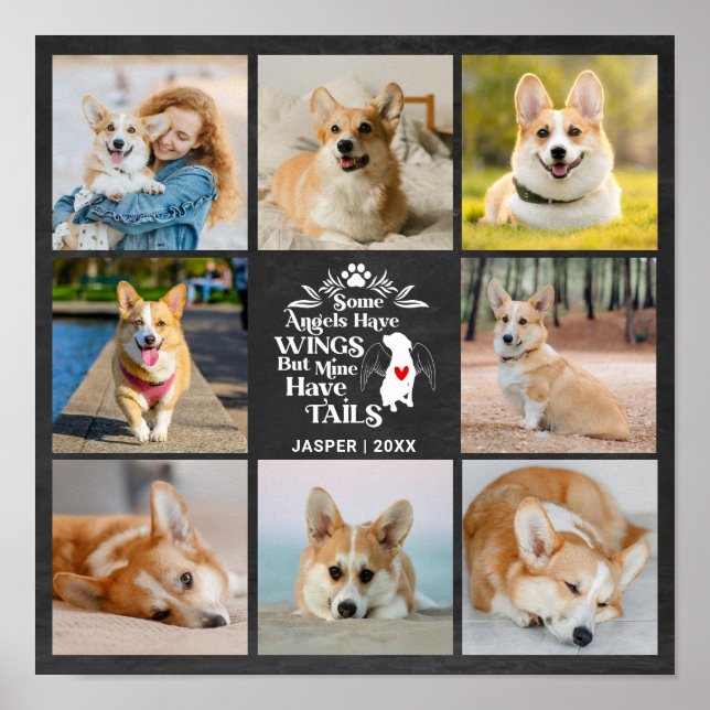 Affiche 8 Collage Photo Souvenir Perte Chien (Devant)
