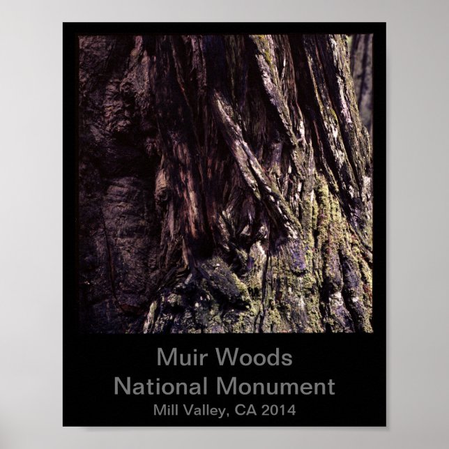 Affiche 8x10 - Muir Woods National Monument Color (Dark) (Devant)