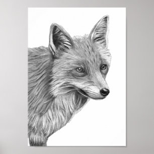 Affiche A4 dessin au crayon rouge Fox Imprimer monochrome