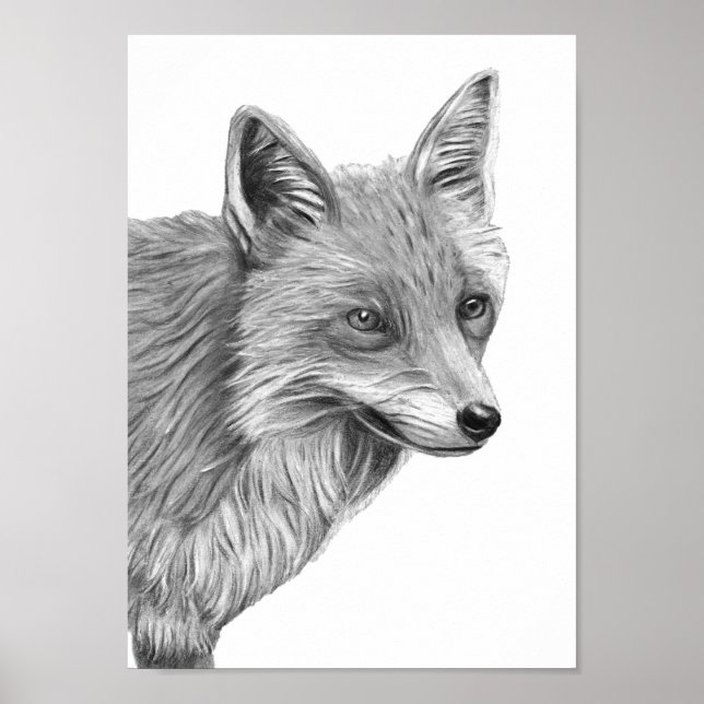 Affiche A4 dessin au crayon rouge Fox Imprimer monochrome (Devant)