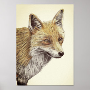 Affiche A4 dessin au crayon rouge Renard Imprimer l'aspect