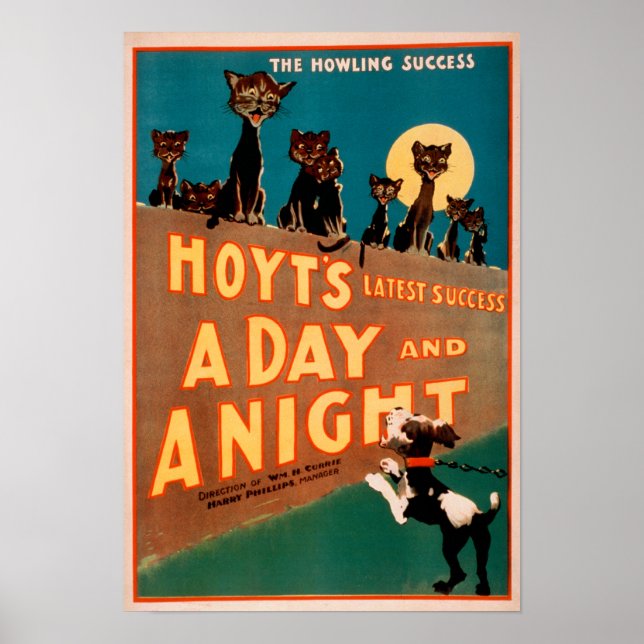 Affiche "A Day and a Night" Chats et Chiens Musique (Devant)