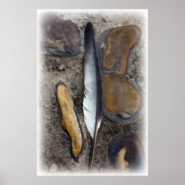 Affiche A fallen feather (Devant)