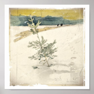 Affiche À feuillage persistant