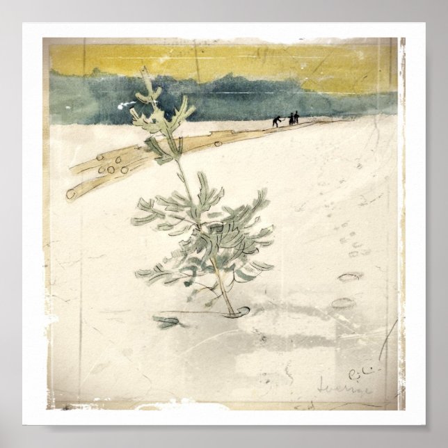 Affiche À feuillage persistant (Devant)