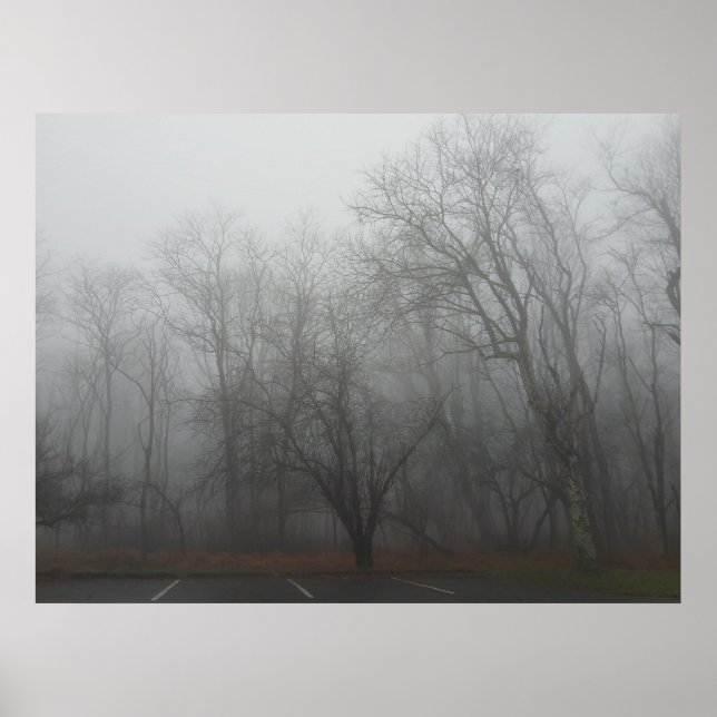 Affiche A foggy day on the Skyline Drive in Virginia (Devant)