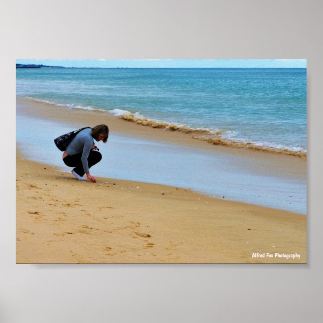 Affiche À la recherche de la coquille parfaite (Devant)