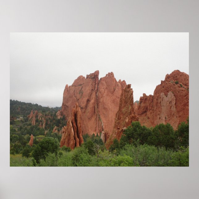 Affiche À l'arrière des chameaux de baiser dans le jardin  (Devant)