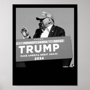 Affiche À mi-vol de Trump