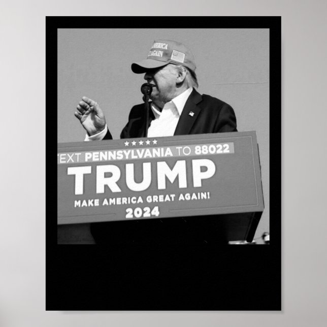 Affiche À mi-vol de Trump (Devant)