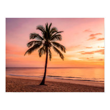 A palm tree stands alone on the beach at sunset