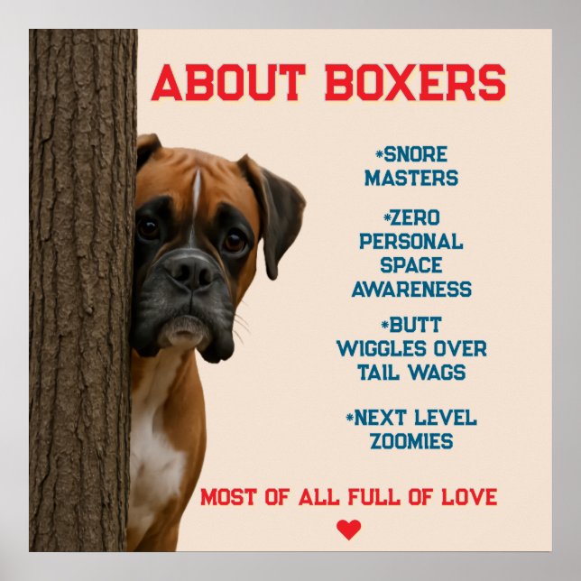 Affiche À propos des boxers Amoureux et amusants Boxer Chi (Devant)