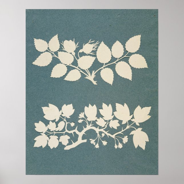 Affiche A Rose Branch and Jasmin Branch (Devant)