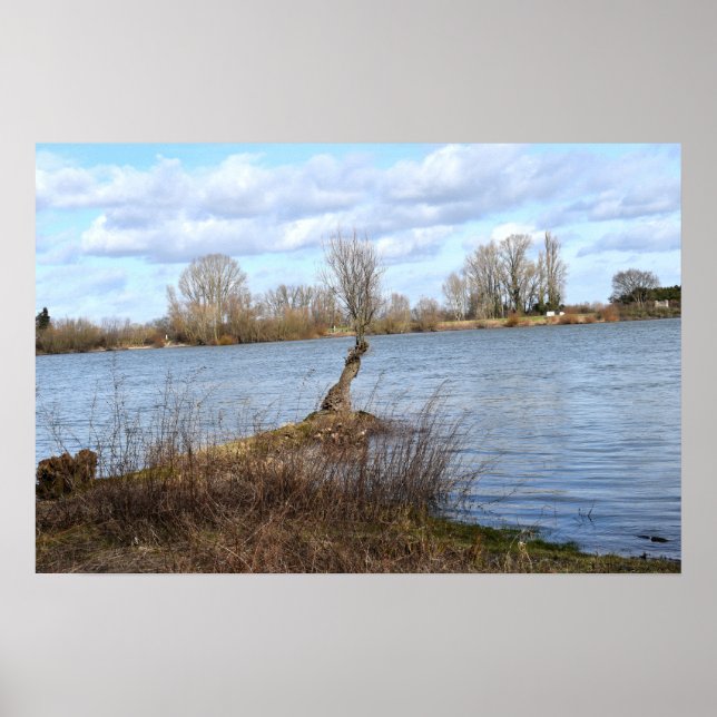 Affiche A Sunny Day on the River (Devant)