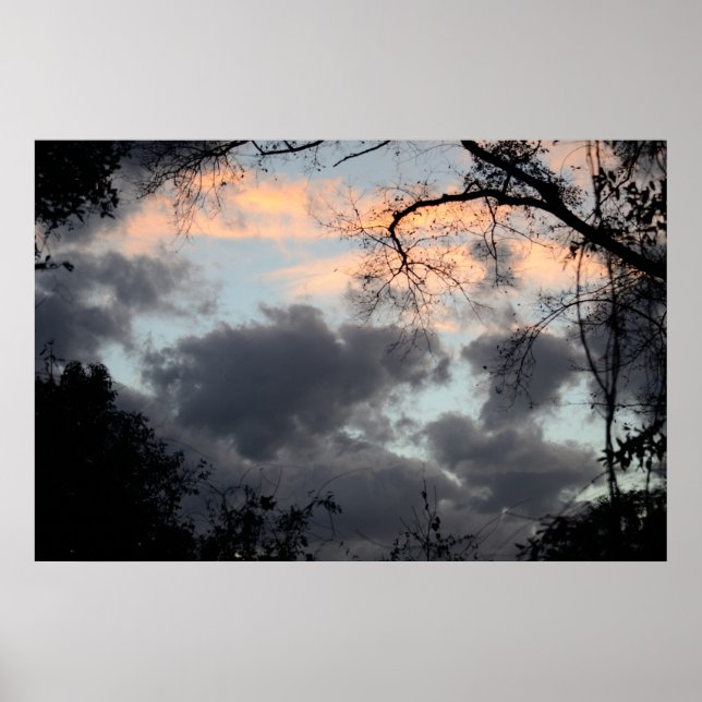 Affiche A travers l'affiche Arbres (Devant)