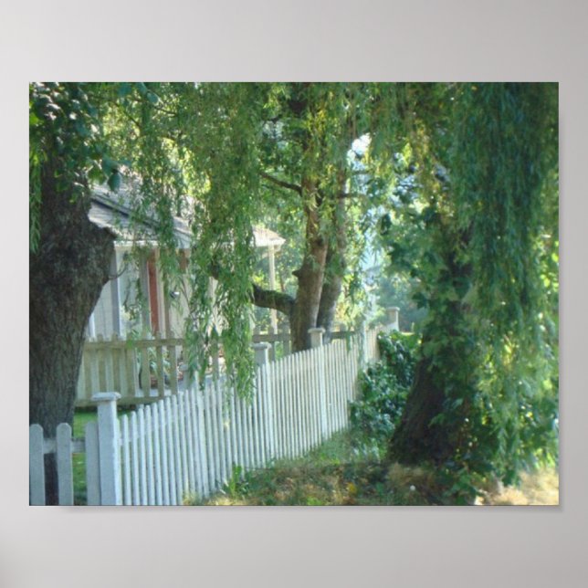 Affiche À travers l'affiche du saule pleuvoir (Devant)