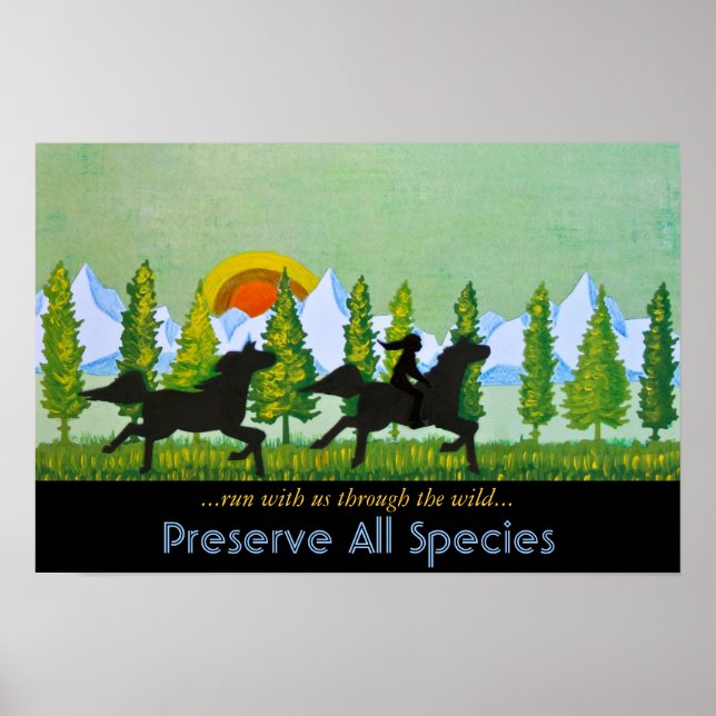 Affiche A travers le Far II (Devant)