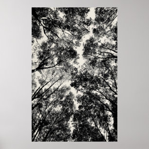 Affiche À Travers Les Arbres, 2018   Images SVP