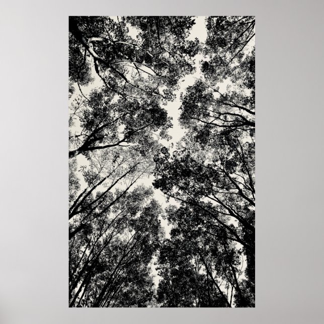 Affiche À Travers Les Arbres, 2018 | Images SVP (Devant)