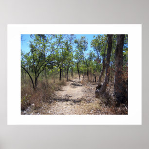 Affiche À travers les arbres Australie Photographie couleu