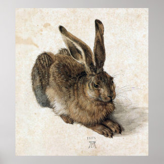 Affiche A Young Hare - Albrecht Durer - c1502