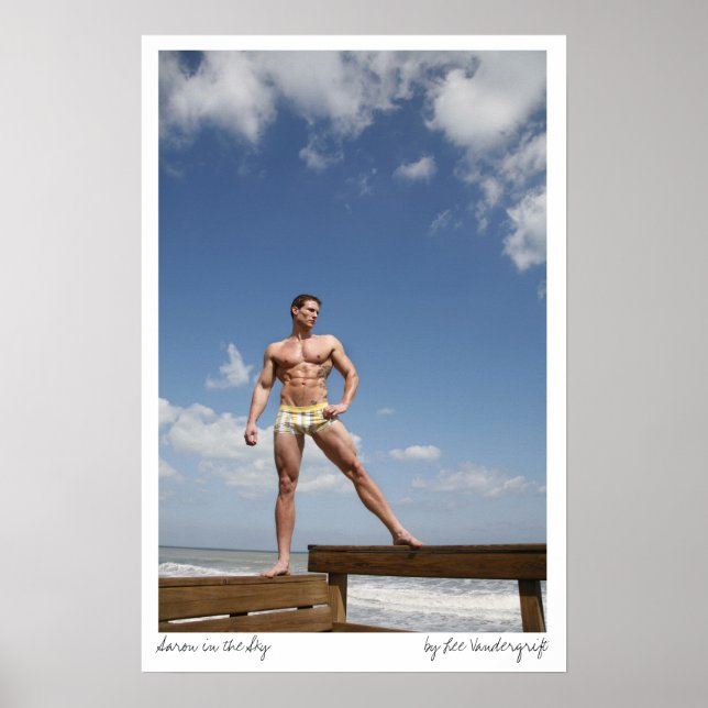 Affiche Aaron in the Sky par Lee Vandergrift (Devant)