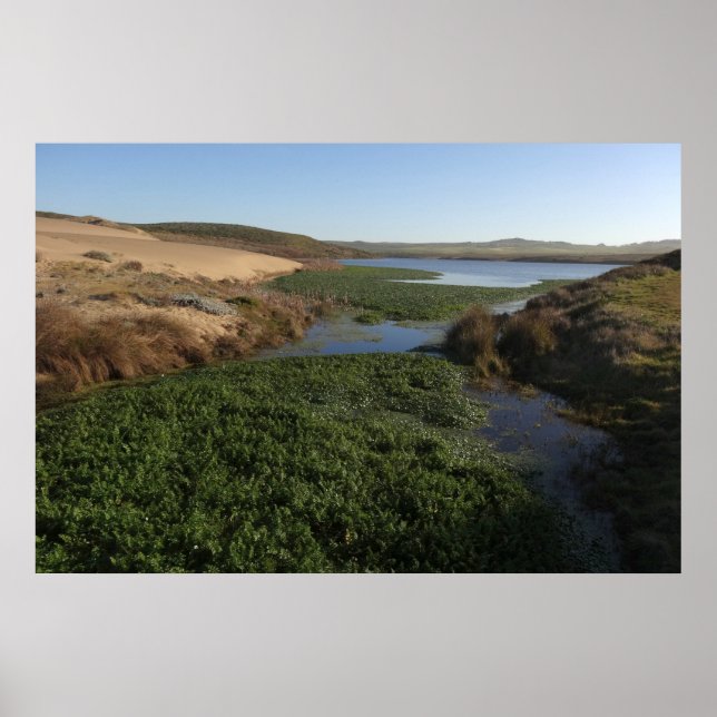 Affiche Abbotts Lagoon I à Point Reyes National Seashore (Devant)