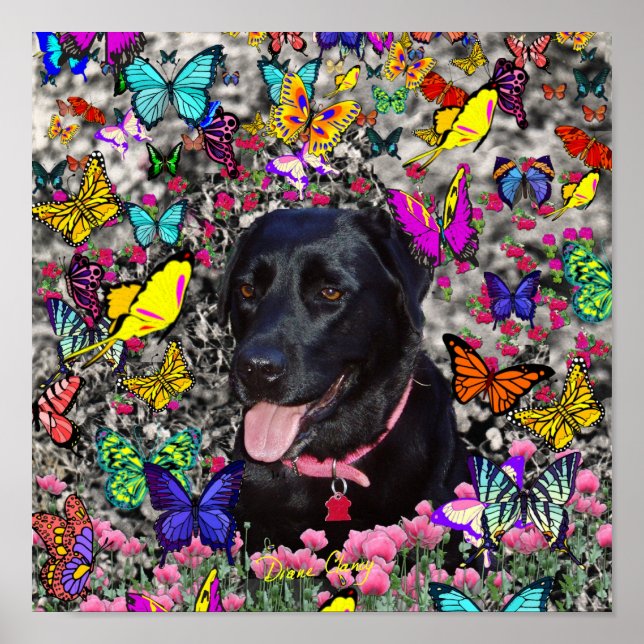 Affiche Abby in Butterflies - Black Lab Dog (Devant)