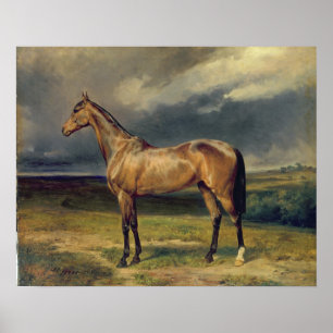 Affiche Abdul Medschid le cheval arabe de châtaigne, 1855