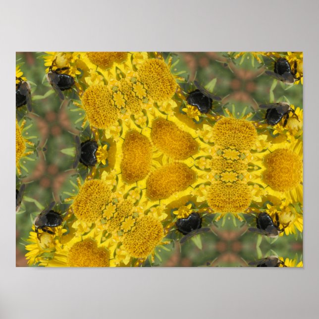 Affiche Abee dans un kaléidoscope (Devant)