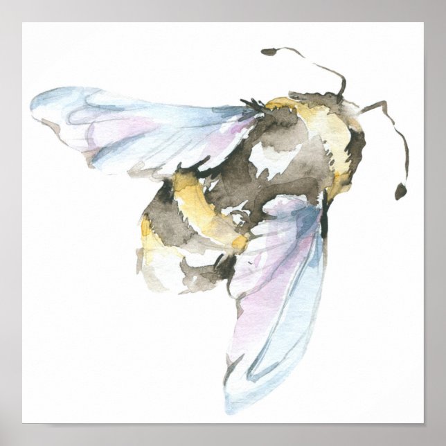 Affiche Abeille aquarelle (Devant)