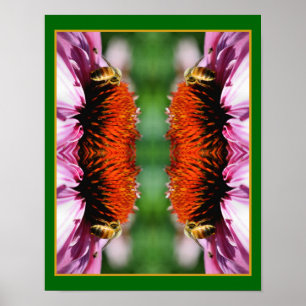 Affiche Abeille de miel sur Echinacea Fleur marguerite Abs