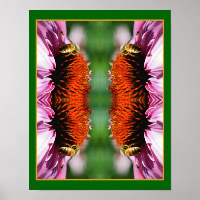 Affiche Abeille de miel sur Echinacea Fleur marguerite Abs (Devant)