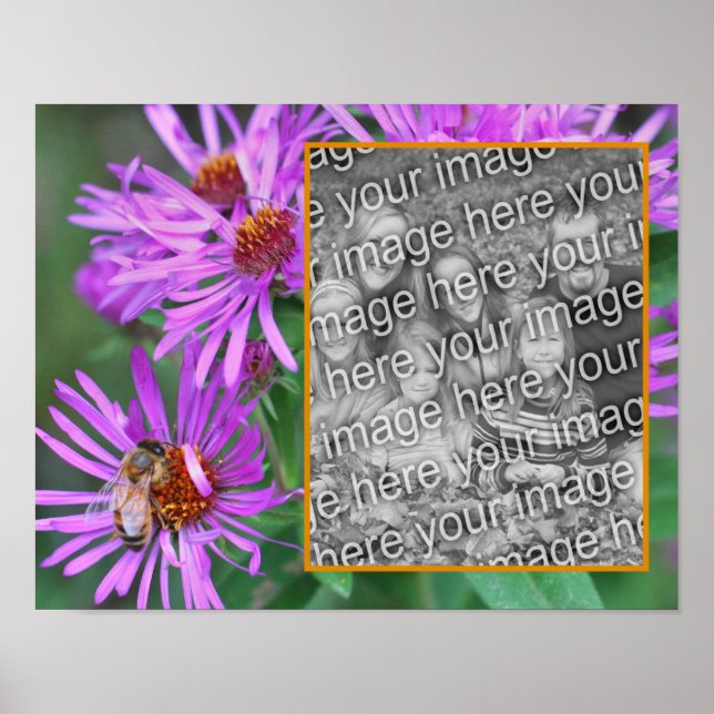 Affiche Abeille De Miel Sur Fleur D'Aster Rose Ajouter Vot (Devant)