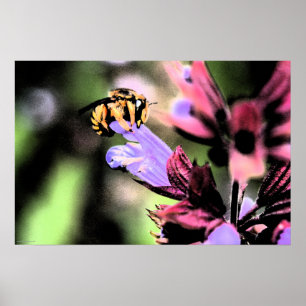 Affiche Abeille et fleurs wapcn
