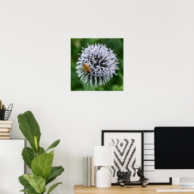 Affiche Abeille sur fleur d'Echinops (Bureau à domicile)