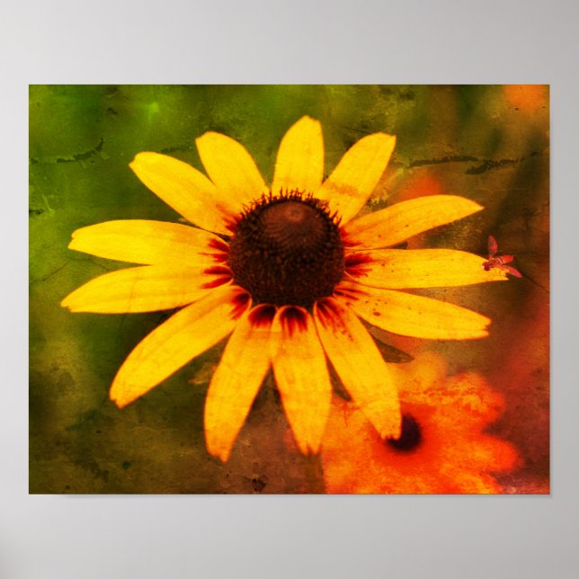 Affiche Abeille Sur L'Oeil Noir Susan Flower Distressed Ar (Devant)