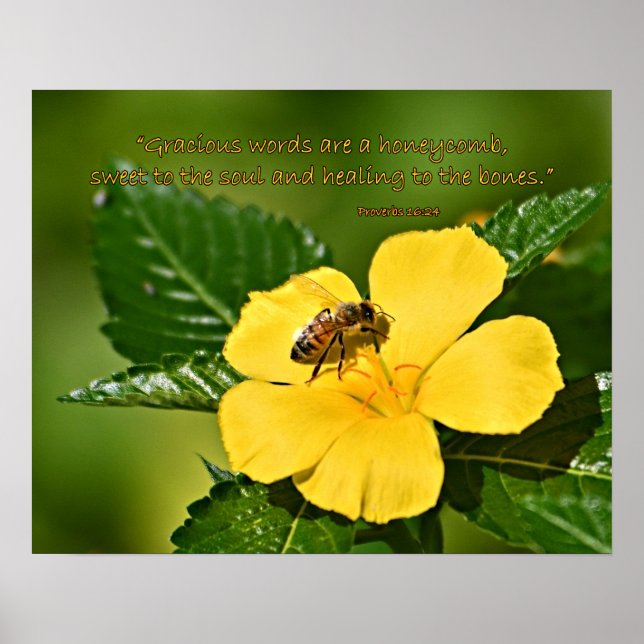 Affiche Abeille sur une fleur, Proverbes 16:24 (Devant)