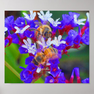 Affiche Abeilles, amour et lisses