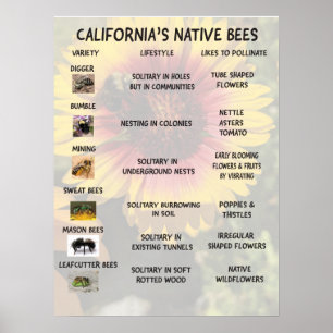 Affiche Abeilles autochtones de Californie