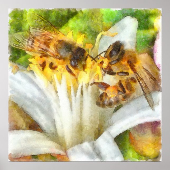 Affiche Abeilles De Miel Sur L'Aquarelle De Fleur De Citro (Devant)