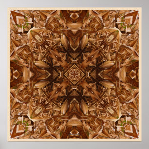 Affiche Abrégé sur sec 16 cosses de maïs