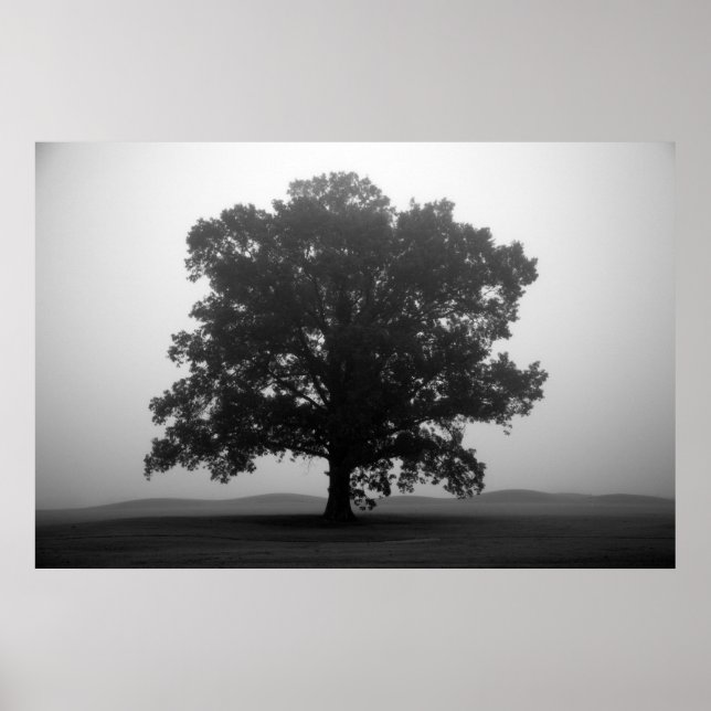 Affiche Abri (Devant)