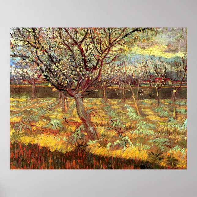 Affiche Abricotiers en fleurs par Vincent van Gogh (Devant)