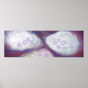 Affiche Abstraction des huîtres avec perles