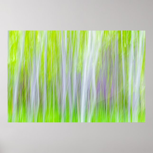 Affiche Abstrait d'arbres d'Aspen | Yakima River Trail, WA (Devant)